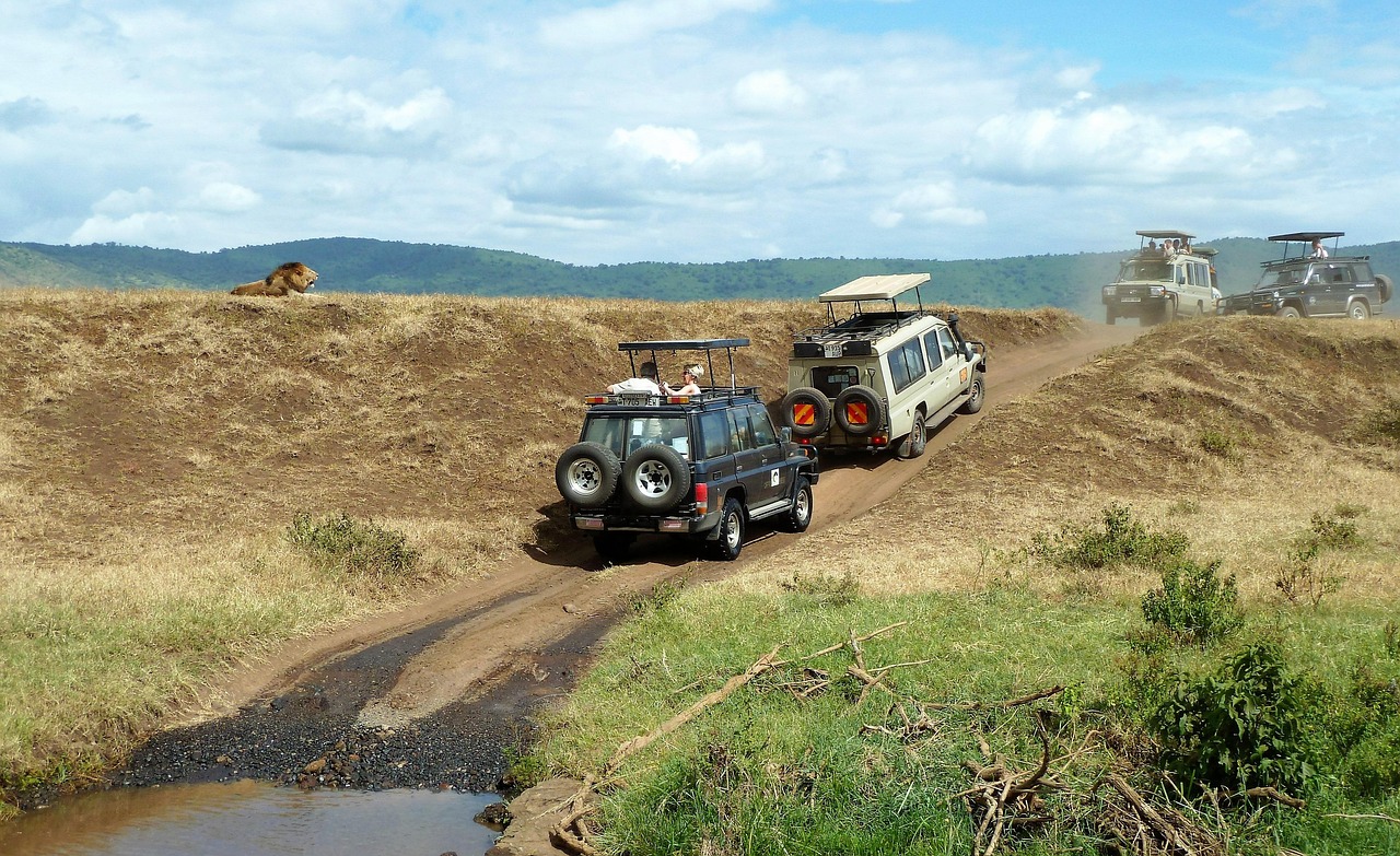 safari-1845202_1280